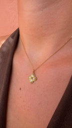 COLLIER NAYA