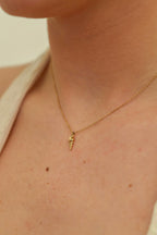 COLLIER ALYNE