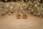 BOUCLES D'OREILLES FLORY